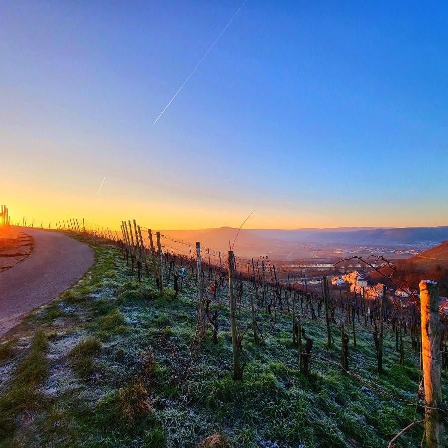 Ferienwohnung An Der Mosel Konz Kültér fotó